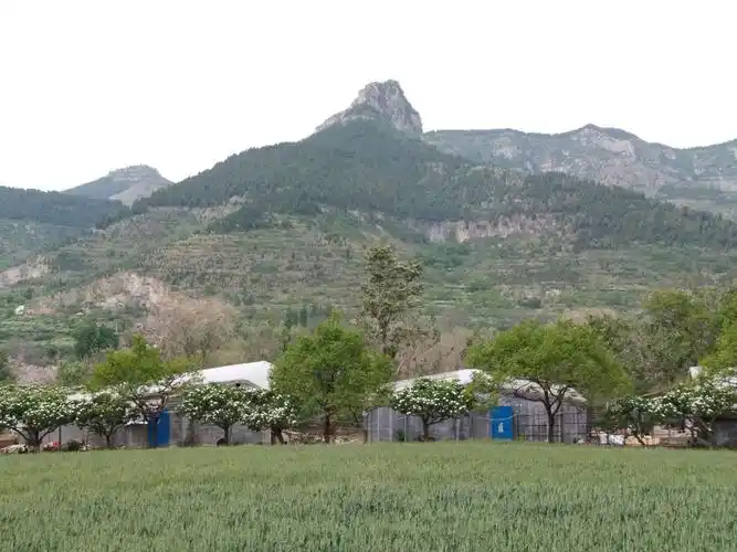 青州一日游之二――清风寨