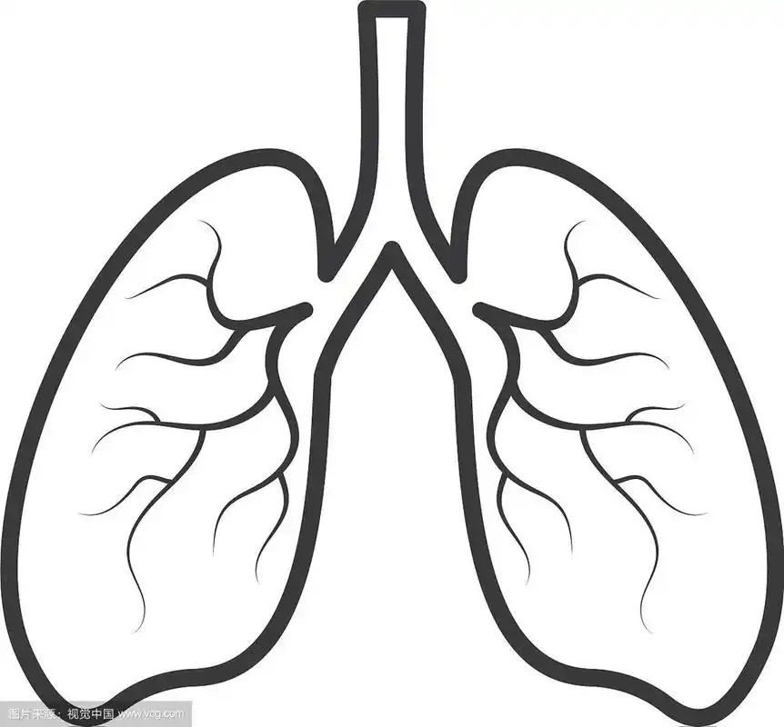人体肺部标志图标设计