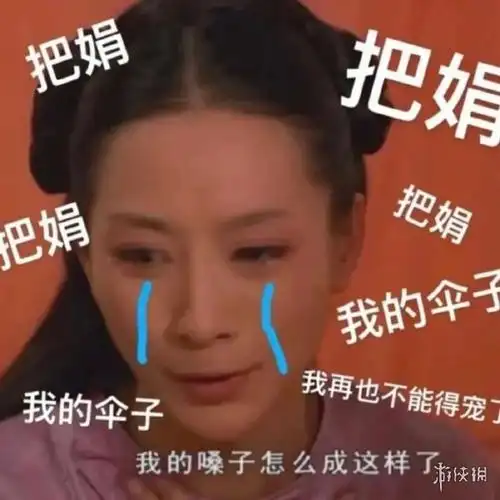 宝鹃是电视连续剧《甄嬛传》中的人物,安陵容贴身宫女.