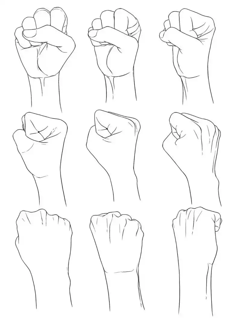 拳头的各个角度绘制参考