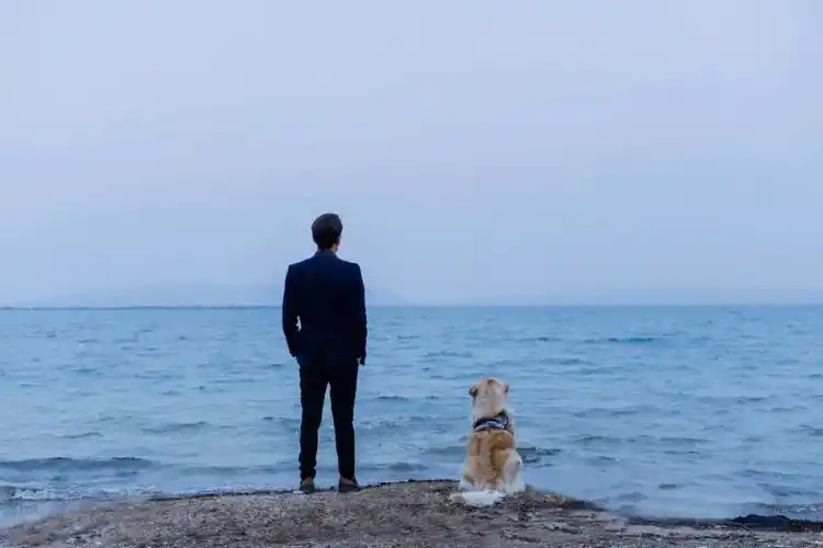 若非孤独～何苦来哉 - 美篇