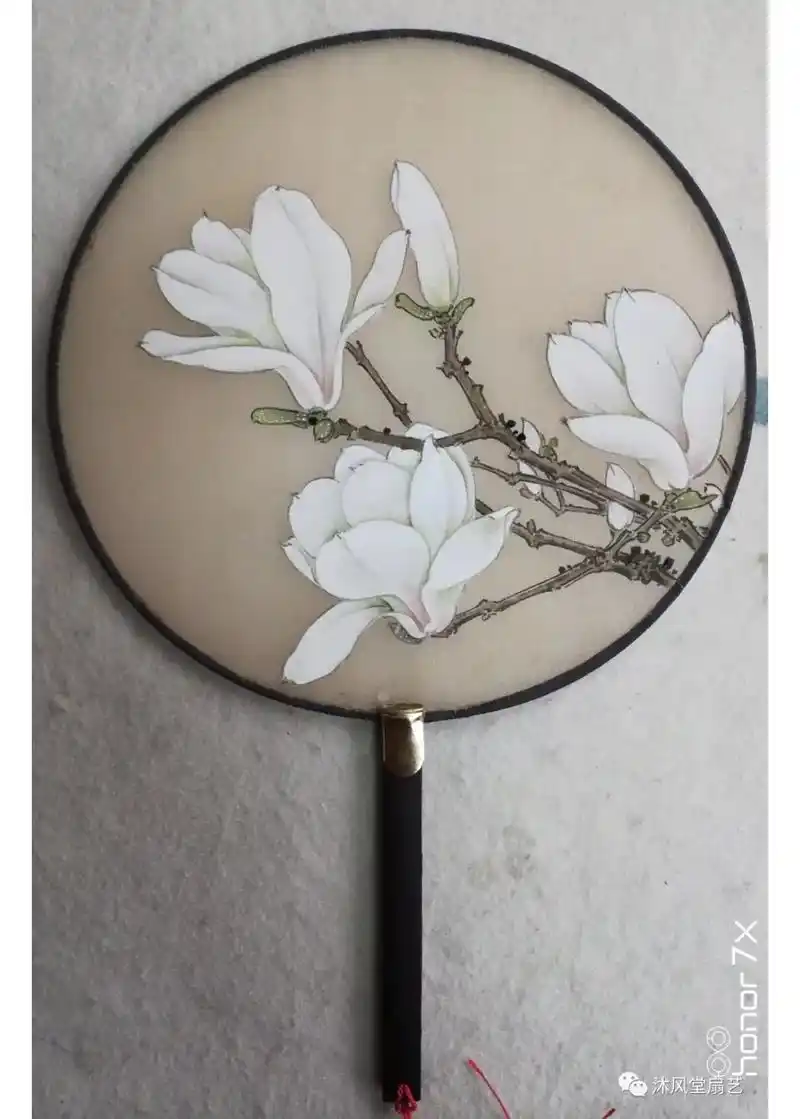 工笔国画 #扇子  一把玉兰小团扇的画法步骤 - 抖音