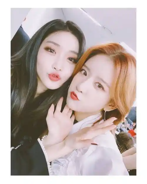 金请夏 秋昭贞exy