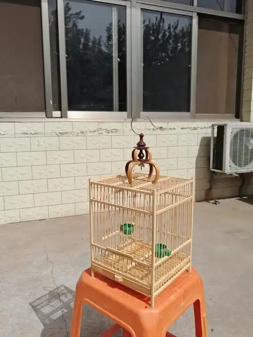 鸟笼绣眼玉鸟芙蓉黄雀相思鸟红脖白玉鸟珍珠鸟竹子鸟笼 配套垫纸 100