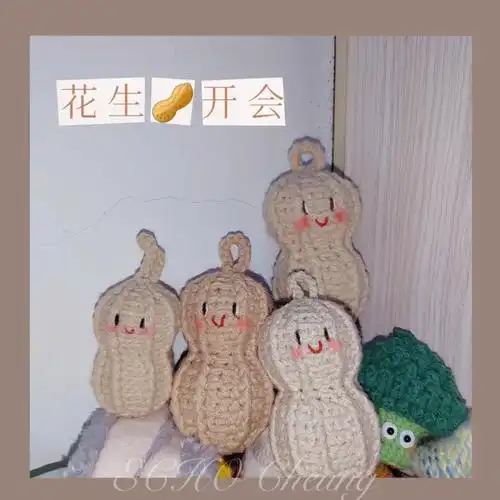 钩针好柿花生花生开会附图解指路