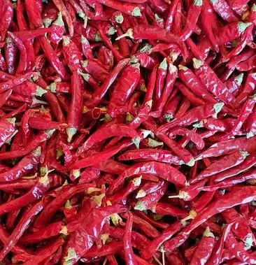 [朝天椒干辣椒批发]甘肃景泰戈壁高辣朝天椒829,低农残,高辣度价格12.