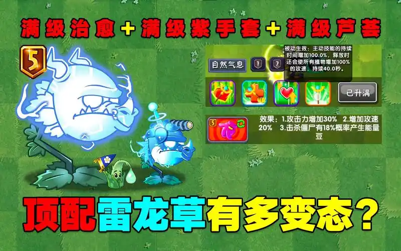 顶配雷龙草有多变态火龙草别来丢脸了好好在龙窝呆着不香吗