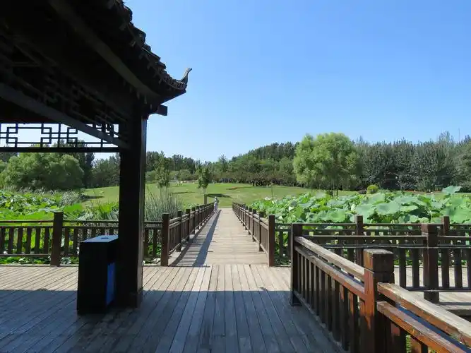 房山长阳湿地公园初秋天高云淡环境优雅非常适合休闲健身