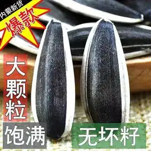 新货生瓜子原味葵花籽食用大颗粒散装特大精选葵花子5斤零食干货