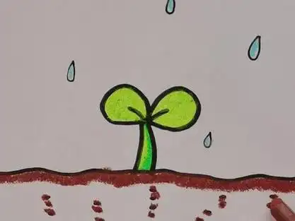 种子发芽,一起来画画吧!#儿童简笔画 #育儿 @抖音小助手