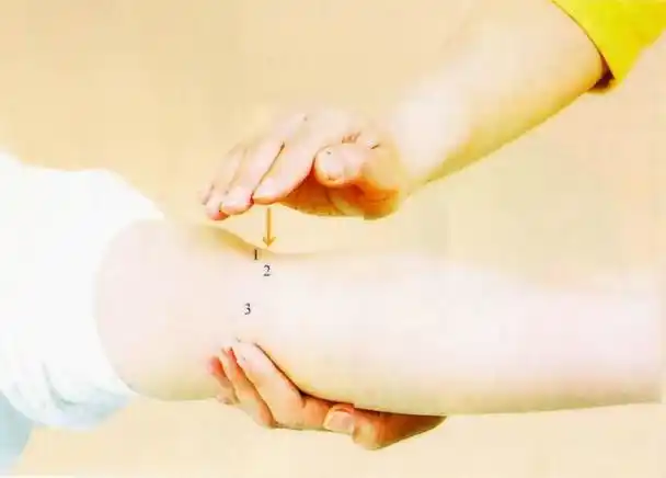 一套实用的经络拍打操拍通经络健康无忧