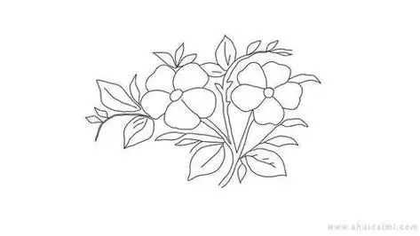 漂亮花简笔画的过程