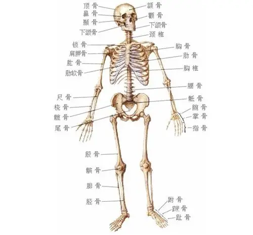 【转载】分筋错骨手,擒拿十八法