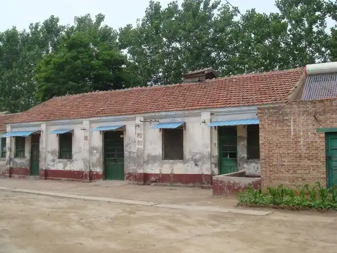 聊城茌平:农村孩子舞翩跹,均衡教育促蝶变