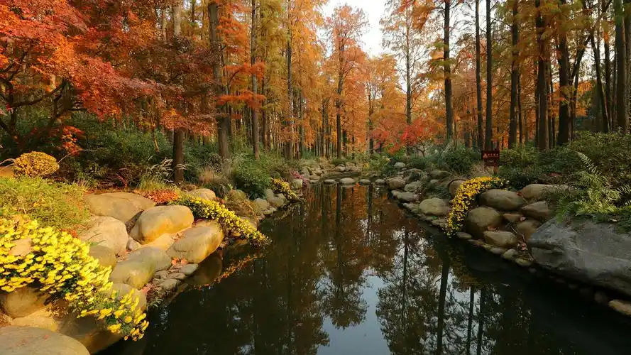 12.11游览了杨浦共青森林公园(1)