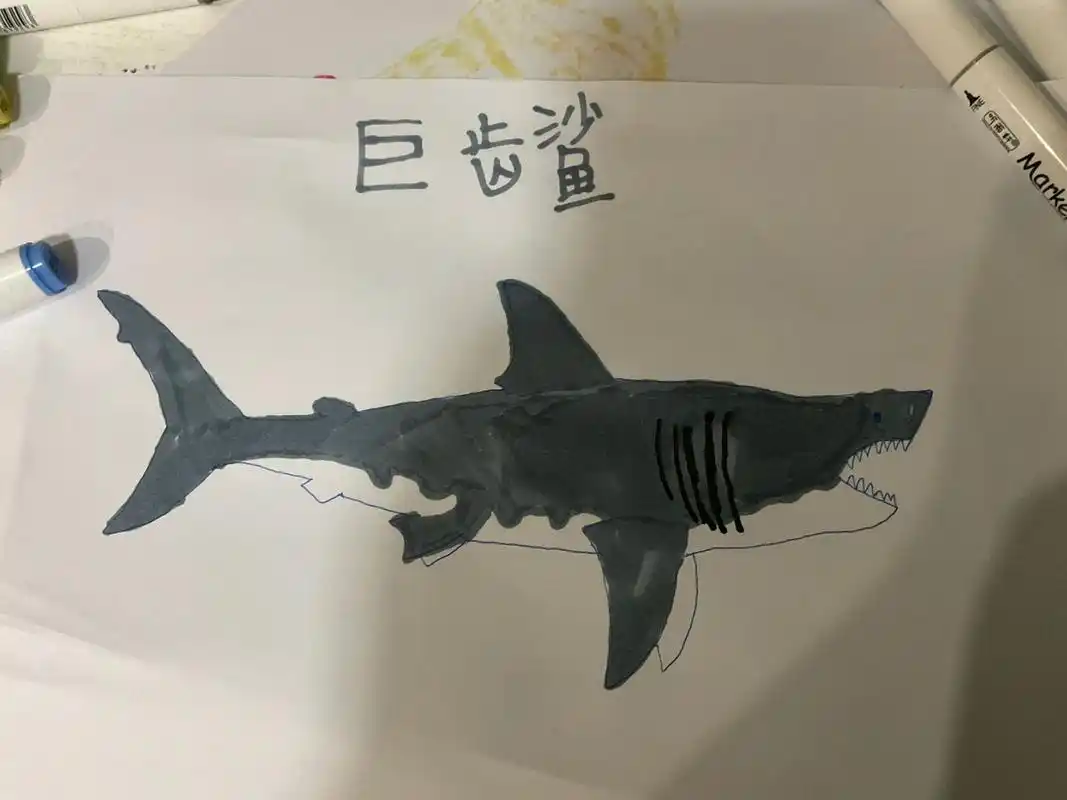鲨鱼大合集 图四是丘布特凯克鲨,不是巨齿鲨,图五参考骨骼修复图画的