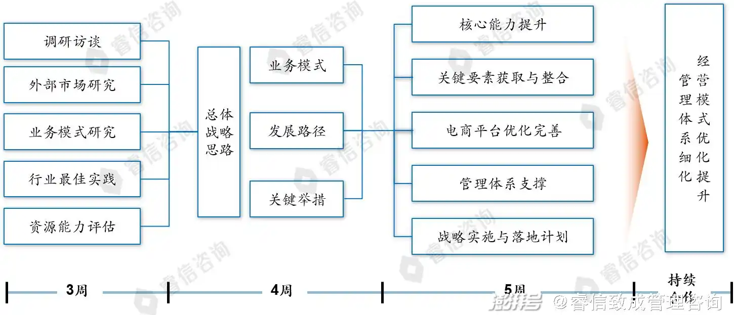 某电商公司战略规划项目案例