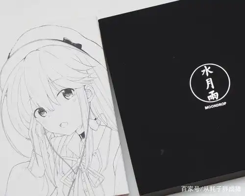 塞圈"小鲁班"——水月雨kxxs耳塞体验有感