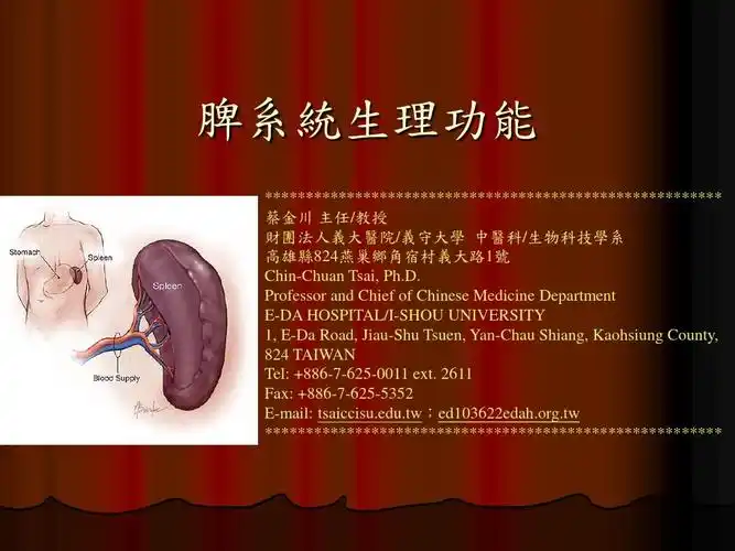 脾系统生功能课件