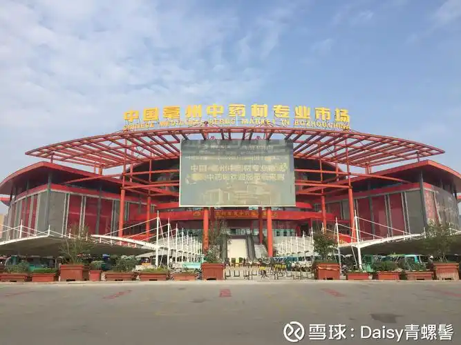 康美亳州中药城考察记