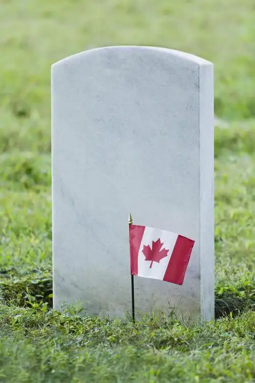 无人,竖图,室外,特写,白天,正面,草地,草坪,植物,旗帜,国旗,叶子,一面