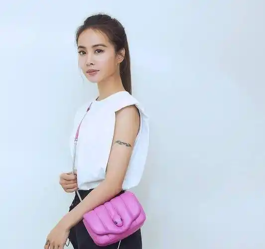 蔡依林秀智被传媒发现了她的左手无名指上有个心形图案的小纹身,据说