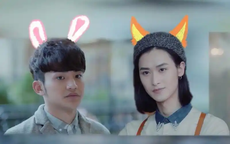 【小兔子爱小狐狸】赵祯×白驰