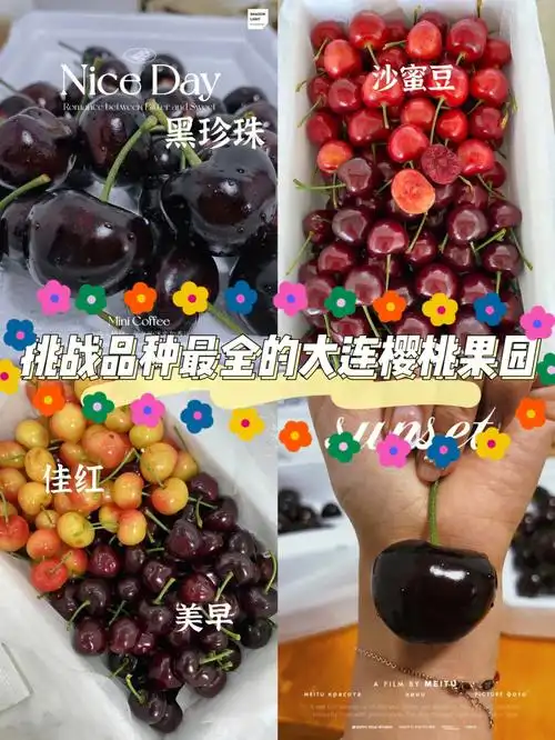 就想问问谁家樱桃有我家品种多哈哈哈哈