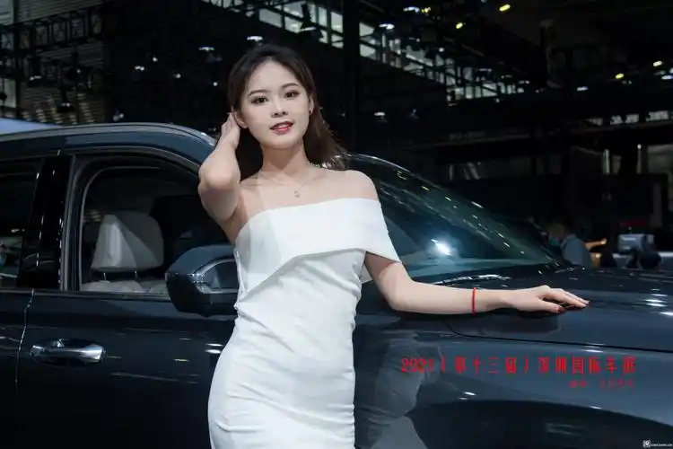 2021(第十三届)深圳国际车展