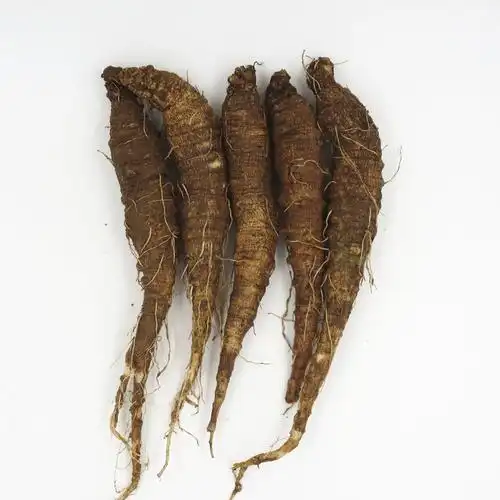 北沙500g东北特产新鲜轮叶党参野生山地瓜韩国北沙参