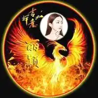 找个凤凰做头像_微信头像图片大全