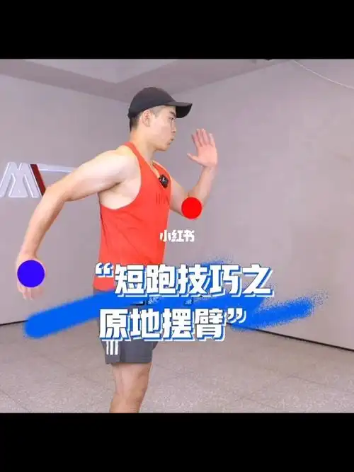 短跑技巧之原地摆臂