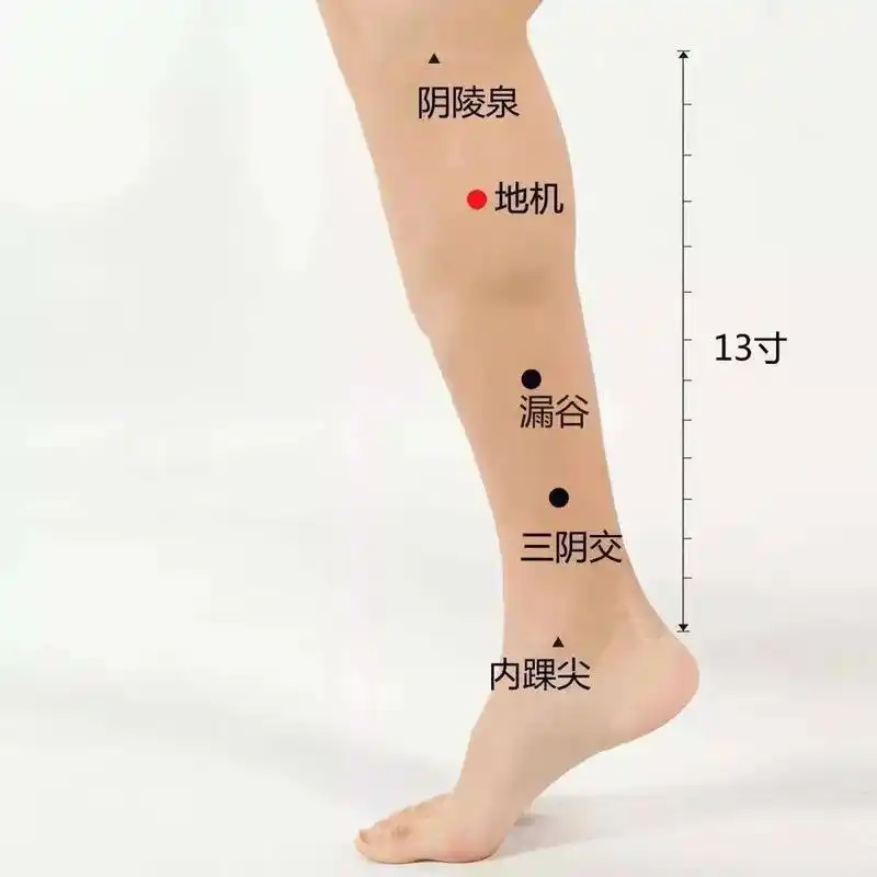 小腿疼 酸胀 经络疏通 肝经脾经膀胱经.小腿酸痛肿胀,夜里睡 - 抖音