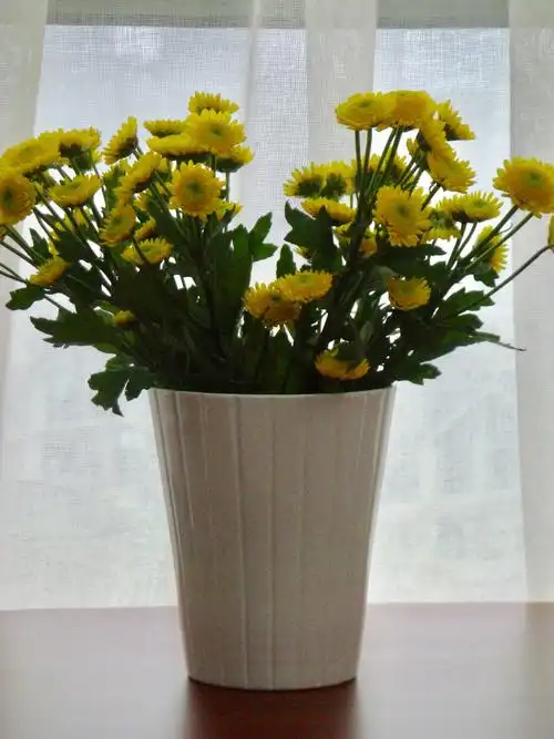 其它 插花 写美篇【清纯烂漫—雏菊花】         花朵细小玲珑, 色彩