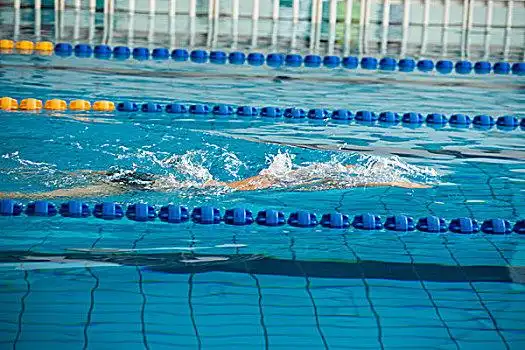 游泳运动员图片