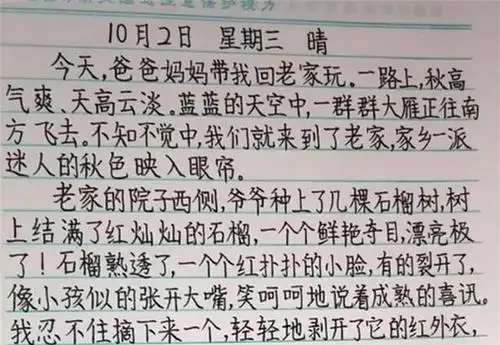 小学生"书法范"作业走红!字迹清秀大方工整,自律的孩子更优秀
