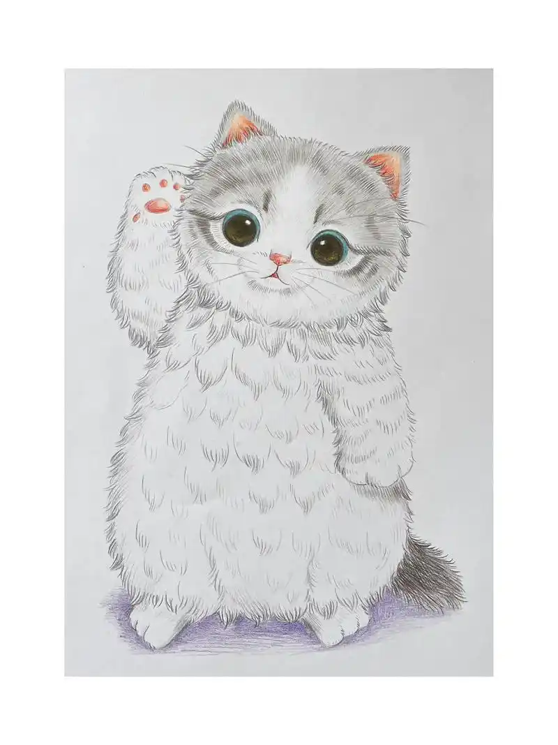 自学彩铅第7幅|布偶猫.猫咪的心思很简单,如果半夜起来不小心 - 抖音