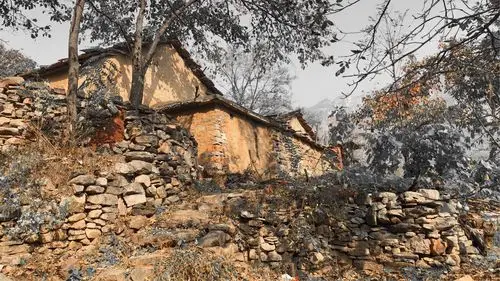 河南省林州市仙客来写生基地