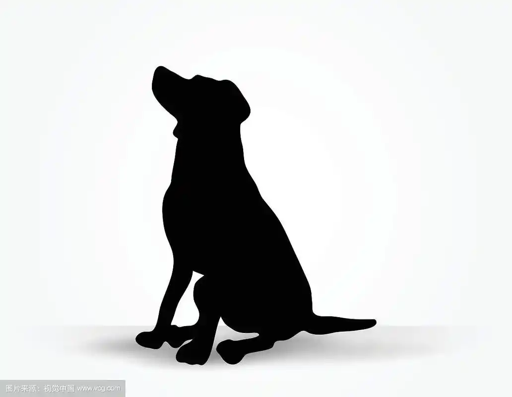 狗的剪影