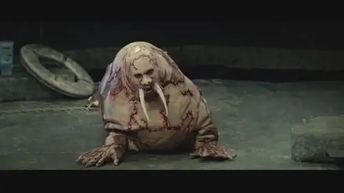 人形海象海象简笔画