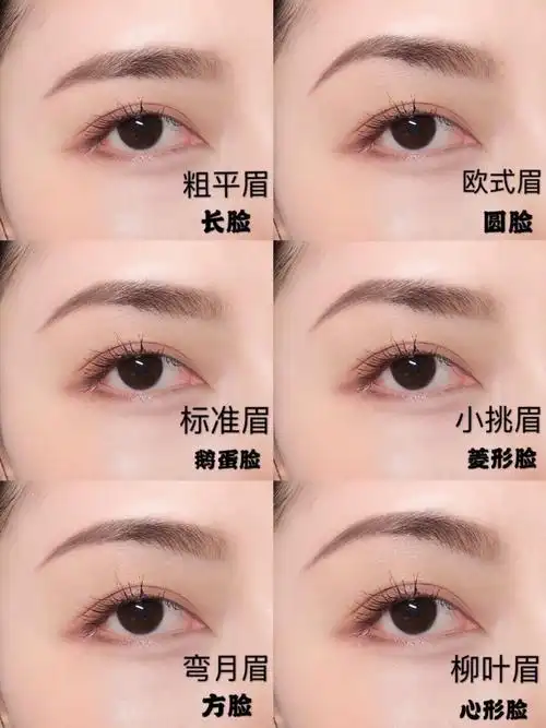 不同脸型适合的眉形