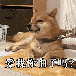 表情包|这是史上最全的单身狗系列表情包!