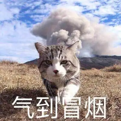 陈情令搞笑表情包