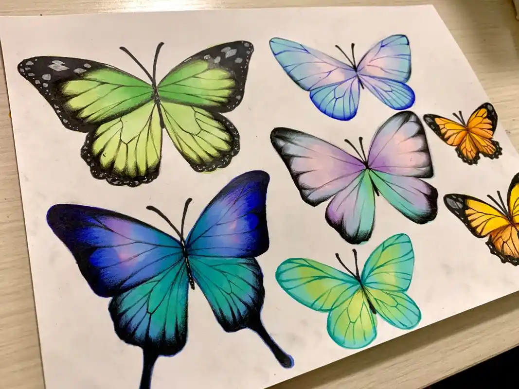 画个花丛中的蝴蝶吧!马克笔打底色,黑色彩铅画花纹.