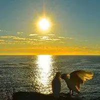 唯美日出太阳头像图片_微信头像图片大全