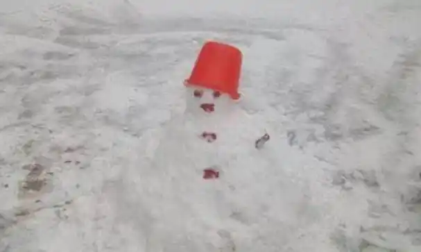 故事吉林肢体雪人案4具女学生尸体拼接成雪人真凶让人意外