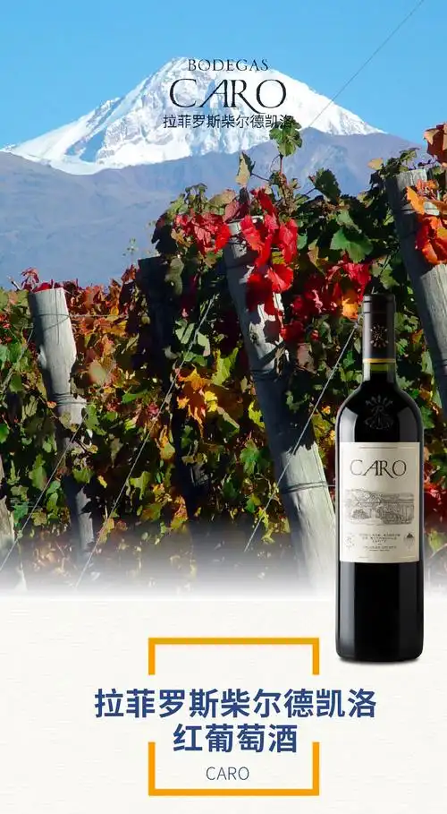 拉菲罗斯柴尔德酒庄拉菲红酒阿根廷原瓶进口干红葡萄酒750ml拉菲凯洛