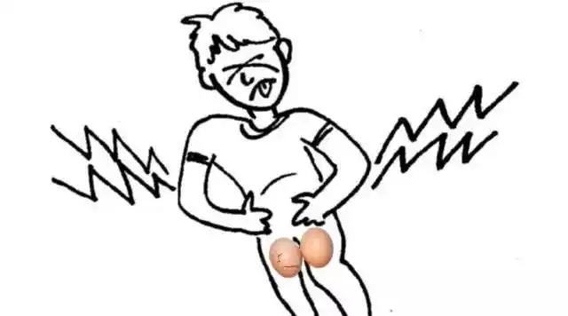 关于睾丸的小知识怕疼怕热怕变硬