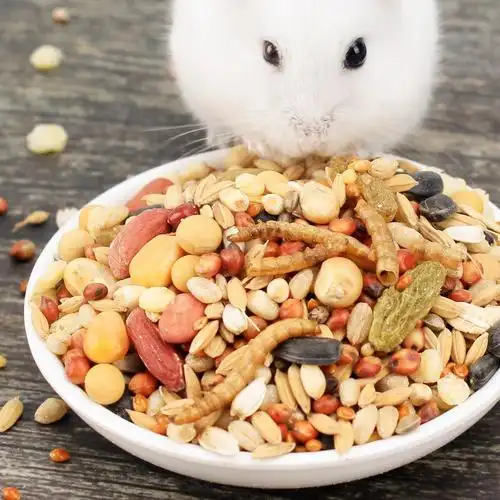 仓鼠粮零食含面包虫金丝熊银狐布丁花枝鼠饲料食物五谷营养仓鼠用品
