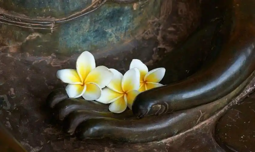 这16首佛教诗词,句句意境不俗,你看出多少隐喻?领悟几许禅意?